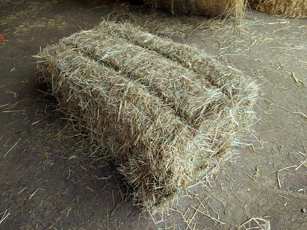 Petit ballot de foin naturel pour chevaux et animaux