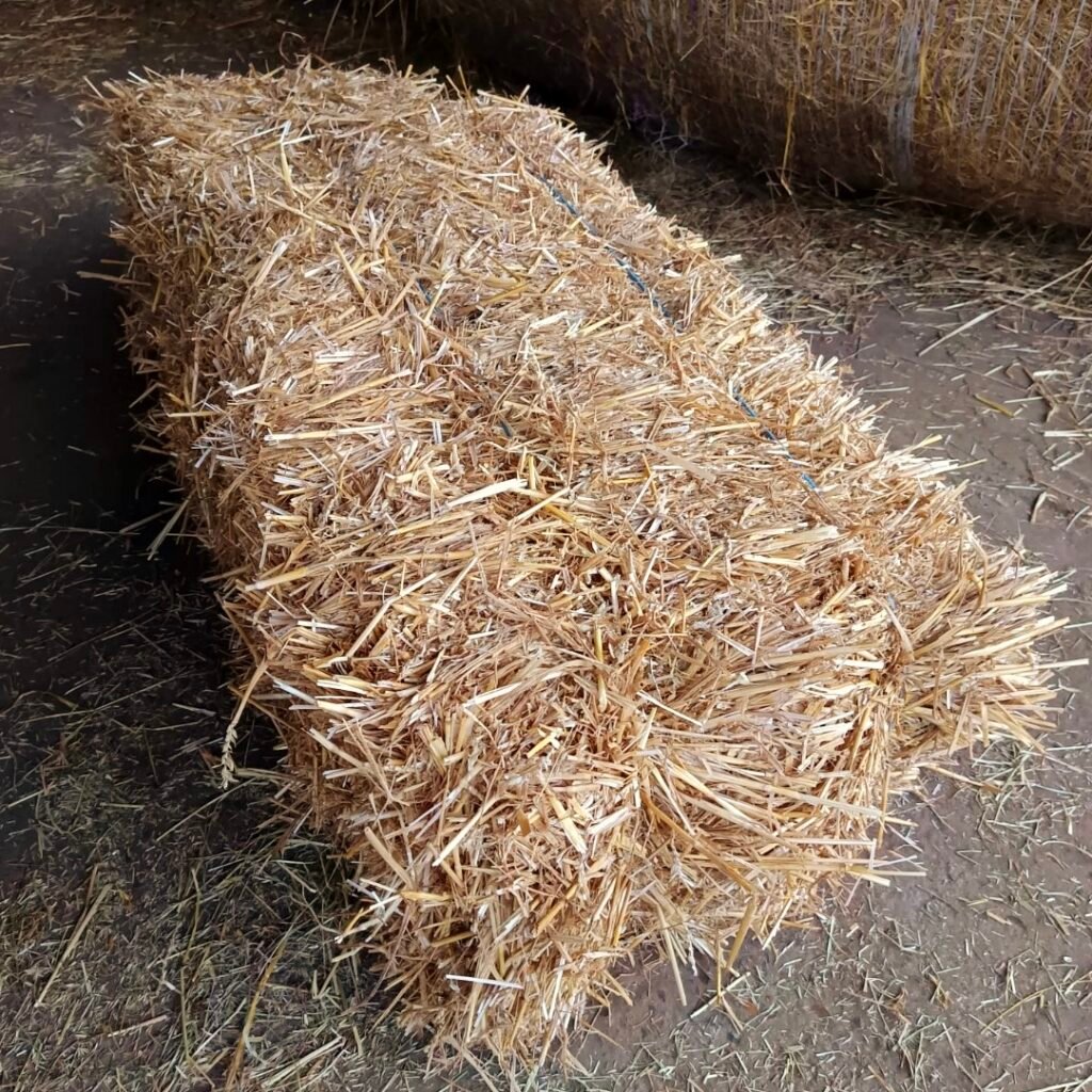 Petit ballot de paille de blé pour litière animaux et paillage jardin dans le Loiret